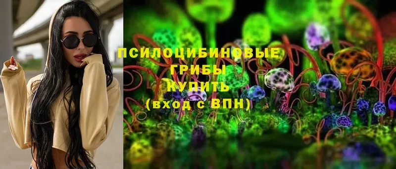 дарнет шоп  Прокопьевск  Галлюциногенные грибы Psilocybe 